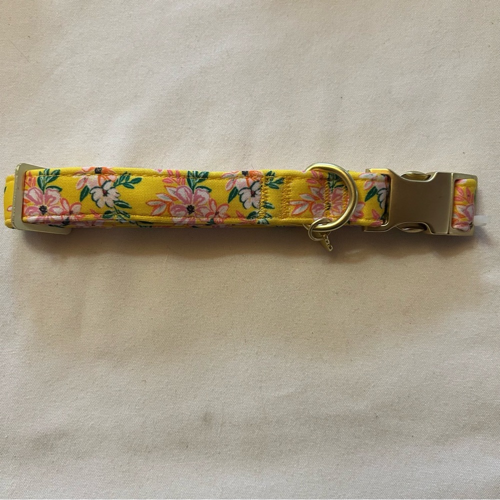 Medium Yellow Neoprene Dog Collar